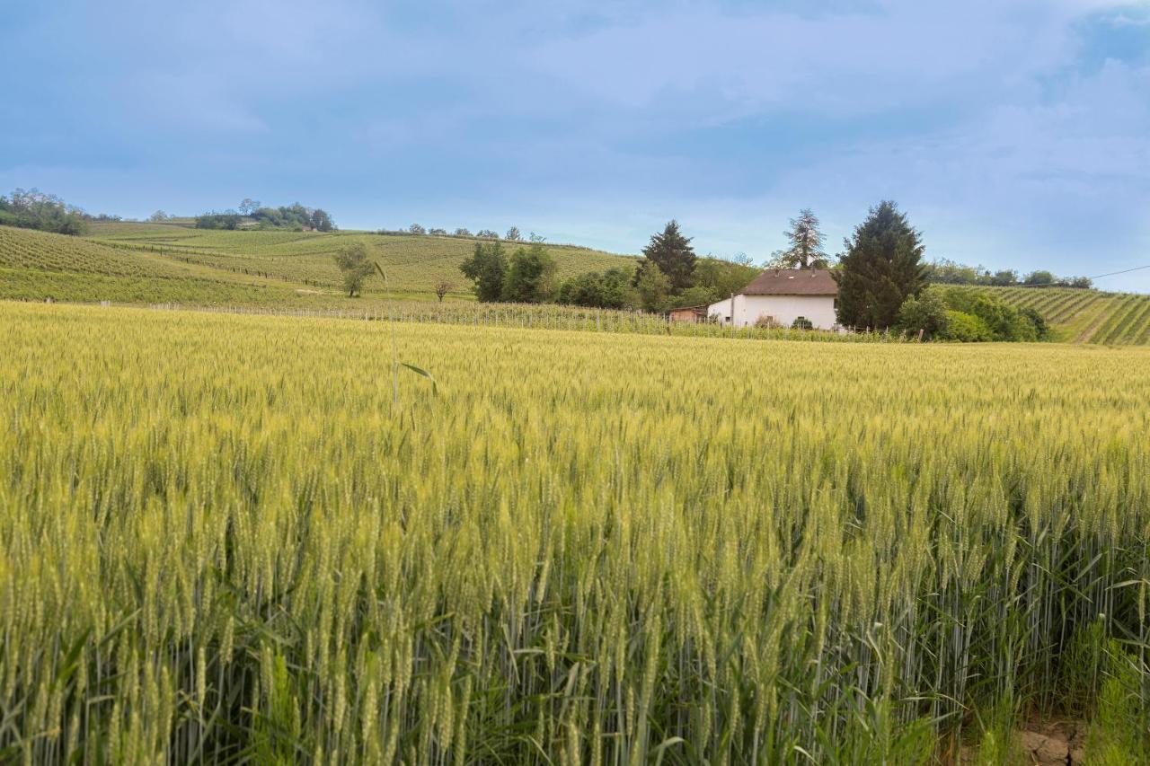 Villa White Tail Organic Farm Orsara Bormida Exterior foto